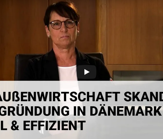 BVMW | Außenwirtschaft Skandinavien – Videointerview